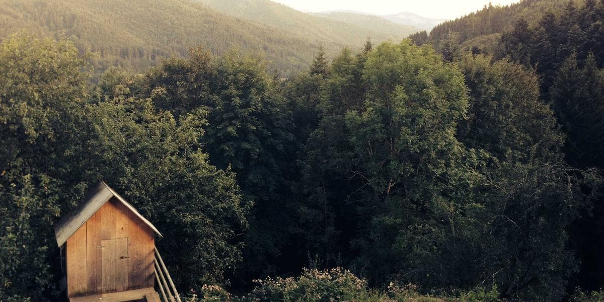 Écoles privées à Alger : guide complet des tarifs et inscriptions 2026