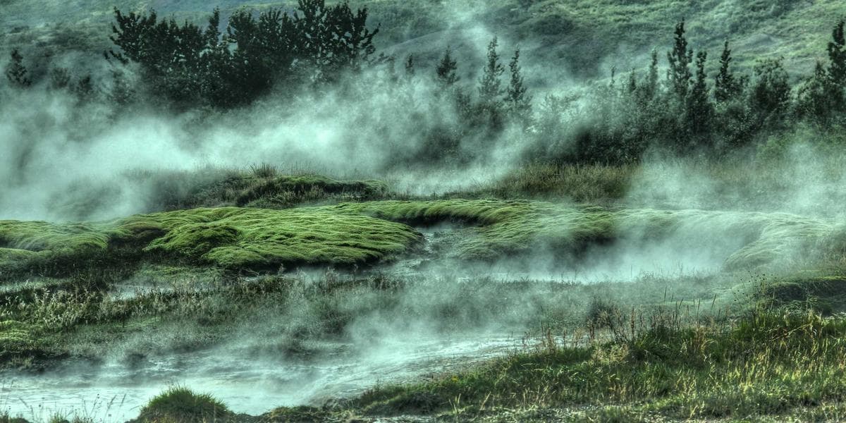 Fratrie, frais de scolarité et négociation : comment optimiser son budget face à plusieurs enfants