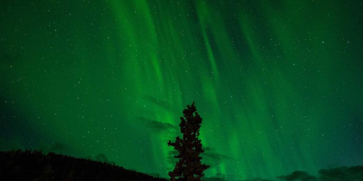 Écoles privées à Constantine et Oran : guide pratique des inscriptions 2026