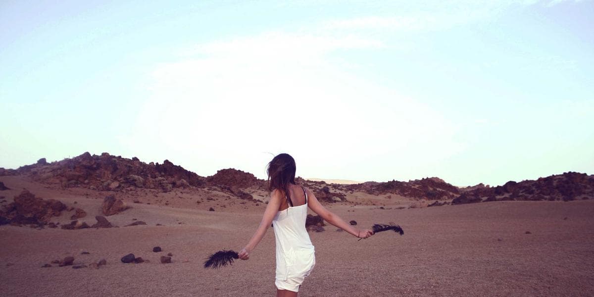 Système LMD, portail du bachelier, orientation : le guide pour ne pas se perdre après le Bac