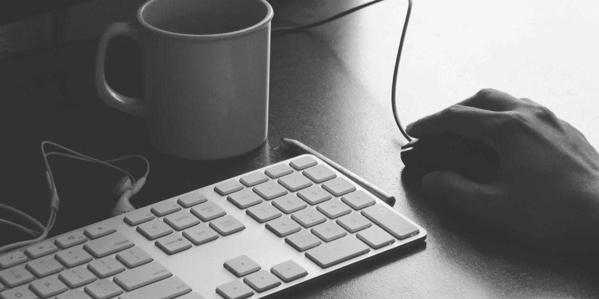 Les opportunités de business dans l'éducation privée en Algérie