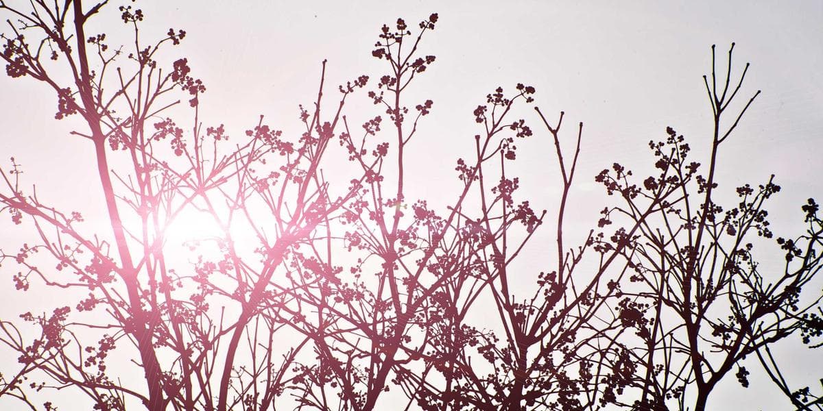 Activités Extra-Scolaires en Algérie : Le Guide pour Épanouir vos Enfants